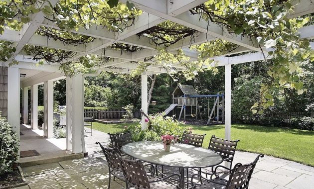 Vine Canopy Design that are Beautiful and Pleasing to the Eye